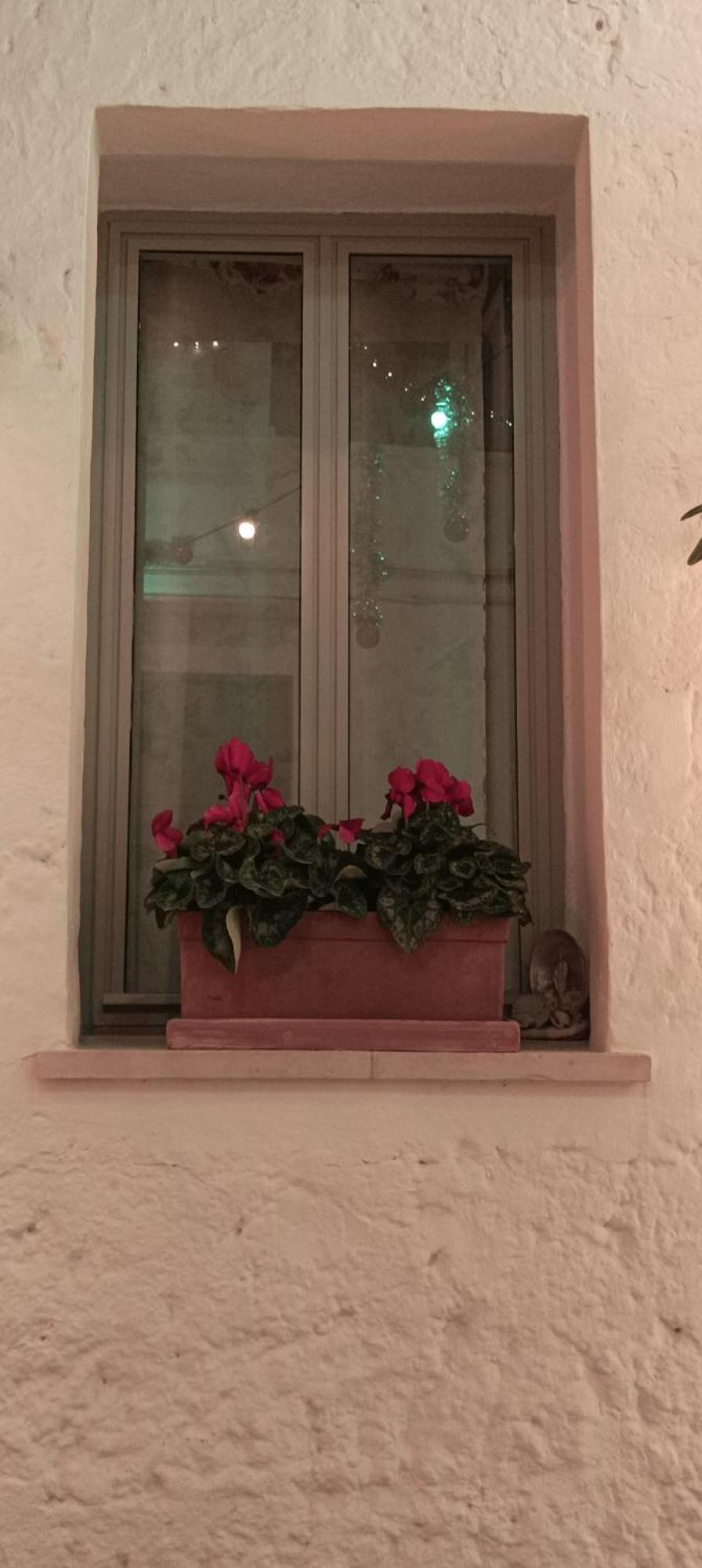 Mena Me - Casa Vacanza - Salento Parabita Kültér fotó